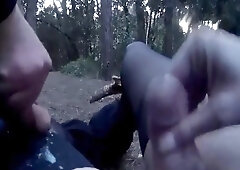 nella pineta di ostia