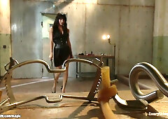 Lesbian newbie ravaged in the ass