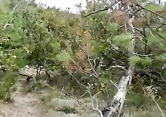 Dogging with Swedish allies