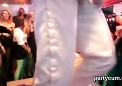 Foxy nymphos get totally silly and naked at hardcore party