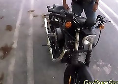 Amateur bear railed deep