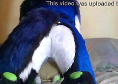 Fursuits Backsides