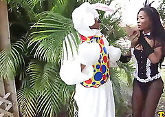 Bigbootied ebony tgirl cockriding easterbunny