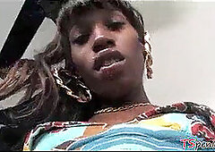 Small-tits, she-male