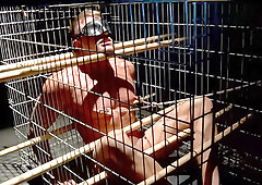 Muscle Dungeon Games - 1 - Tyler Saint & Dire Callahan