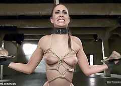 Trainee anal fucked in pile driver