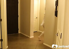 Hot babe gets sprayed into a clown costume