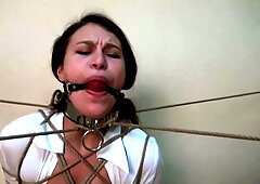 Horny Sex Video Gags Great Pretty One