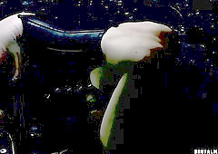 Master Filth Skewered Bullwhipped Destroyed