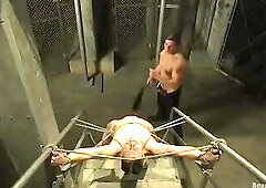 Officer Boss Is the Boss!