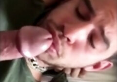 Chupa esa polla, zorra amateur