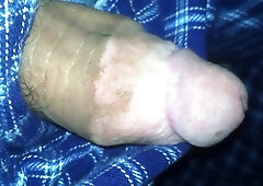 big fat plum headed cock snakes its way out of pajama pants 5