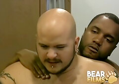 Hairy man Nate with pierced cock riding Teddy Tony Banks' big black cock on BEARFILMS