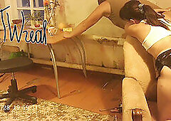 Dick flash, bus dick flash cum, flash