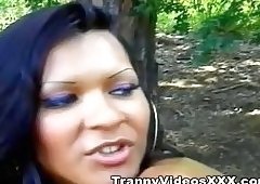 Trans Drilling In The Forest