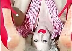 Upsidedown