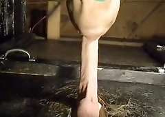 Deep Facehole Monster Meatpipe again by Hoovermouth