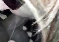 Original Trans Sucking BBC