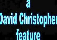 Cashmere, Wicked Gal, Kitten, Sierra, & Lexi