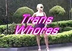 Bimbo tranny in lingerie gets ass fucked