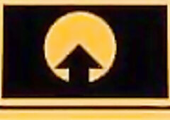 Lewd Birthday Booty Bang with Sexy Black mother I'd like to fuck Youthful Guy goes Unfathomable in Anal have to See n Cram like