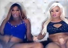 Two hot trannies pleasure each other on webcam