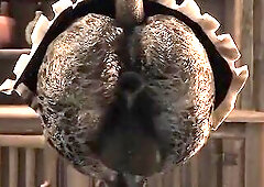 argonian maid show three ang LQ (with sound)