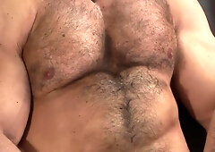 fur covered Zeb tugging off