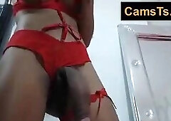 Busty latina shemale showing her huge cock