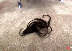 Black dude with a huge dick fucks Brooke Scott aggressively