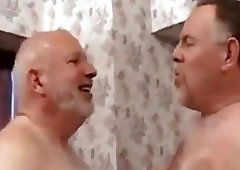 Three chubby gray daddies play around in the bedroom