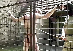 D4B - Summer Party Gone Wild 2