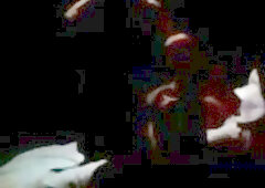 Raunchy Dudes Amateur Fuck