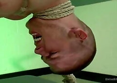 Mistress of Christmas of dream