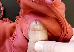 Spurting on my wife's fiery red lace bra (80 D) - Masturbation frenzy