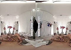 Watch Casca Akashova, Dee Williams & Rachael Cavalli get naughty in virtual reality with only your eyes!