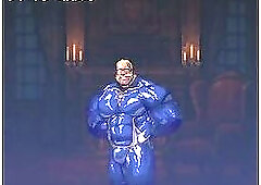 Golden Paladin Side Visual Novel