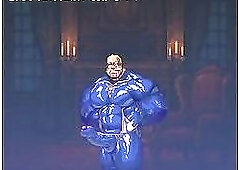 Golden Paladin Side Visual Novel
