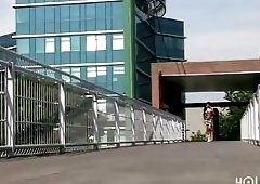 Gorgeous seductive shemale fucked hot after sweet sucking