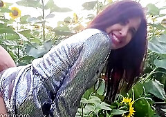 Caught Red-Handed: Step daddy and Me Going at It Hard in the Sunflower Field-Salute to Spouse ??