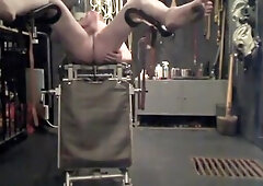 der Club: SchweineZucht