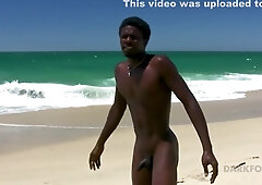 Savage and Majestic Vol 1 - AT THE BEACH