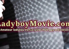 Amateur Ladyboy Venus Gives Blowjob