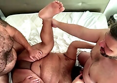 Chubby bears, fat bears, furry