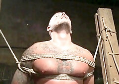 Pits, wrestling, abasement