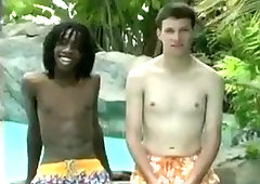 sweet black and white bareback