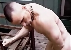 SLAVE CAMP 2+ (new & improved)