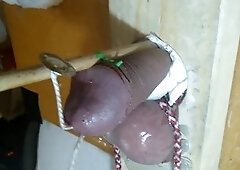 Fag, sadism & masochism, two big cocks