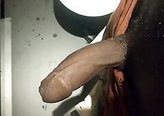 Tamil10inchesBBC demonstrate giant dinky and nuts