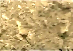 Asian bodybuilder barely covered at the beach 9